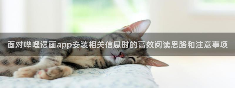 漫蛙漫画免费看漫画
